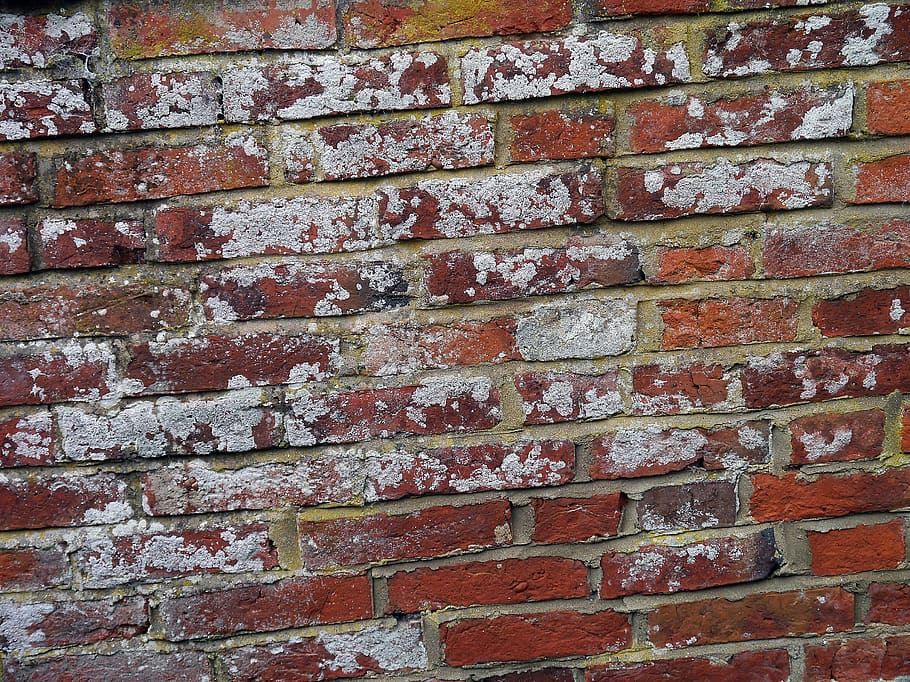 brickwall, bricks, brickwork, wall, paint, aged, weathered, vintage, painted, red