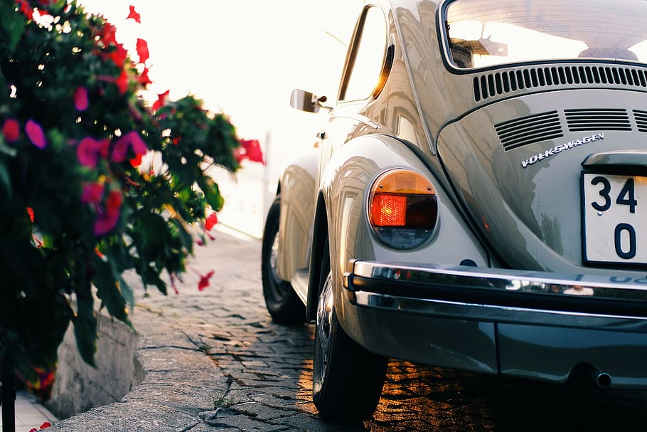 gray, volkswagen beetle coupe, parked, purple, petaled flowers, daytime, automobile, automotive, beetle, car