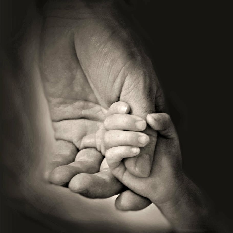child, person, holding, hands, daddy, father, family, daughter, love, together