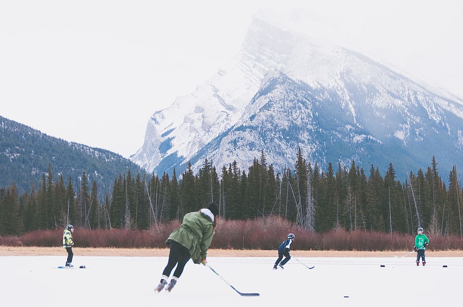 four, people, playing, ice hockey, field, pine trees, hockey, ice, rink, skates