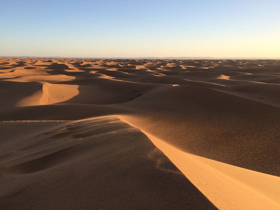 사막, 언덕, 낮, 모래, 모래 언덕, 하늘, 수평선, 뜨거운, 열, 아라비아 사람