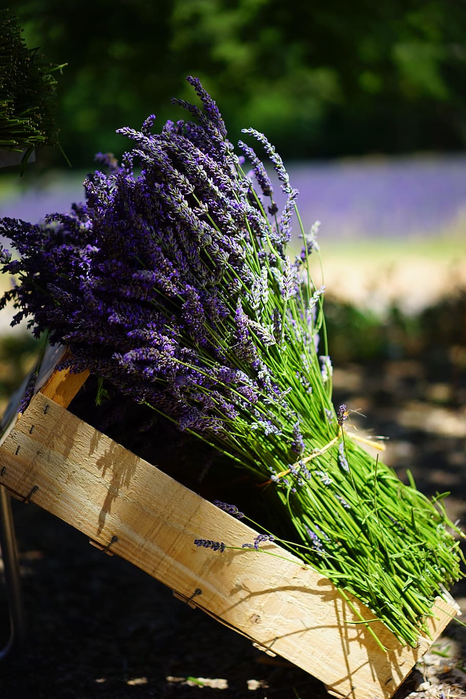 lavenders, brown, wooden, crate, lavender, tufts, sale, blue, bouquet, posy