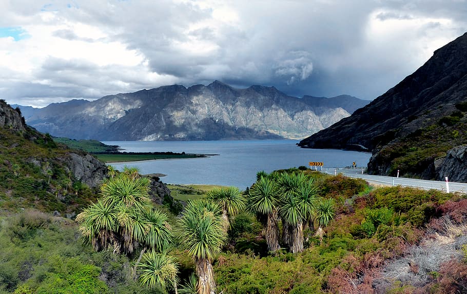 Lake Hawea, Otago, NZ, cuerpo de agua, antena, fotografía, árboles, cielo, nube - cielo, belleza en la naturaleza