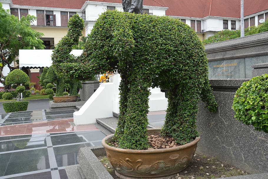 topiary, elephant, hedge, leaf, animal, design, park, green, cut, shape