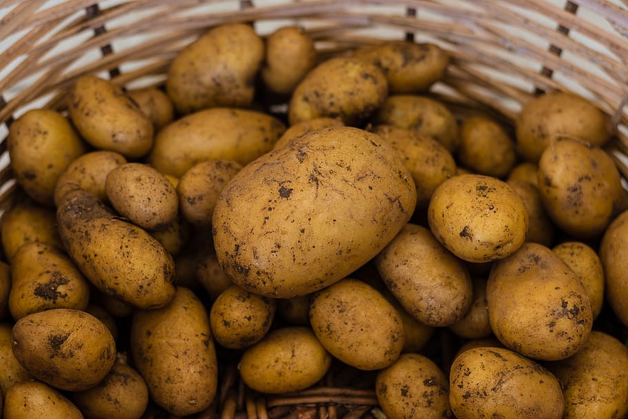 potato, potatoes, vegetables, food, harvest, fresh, healthy, agriculture, vegetable, nature