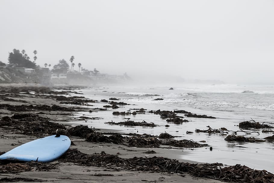 azul, tabla de surf, arena, orilla del mar, estados unidos, playa, wakeboard, surf, solo, soledad