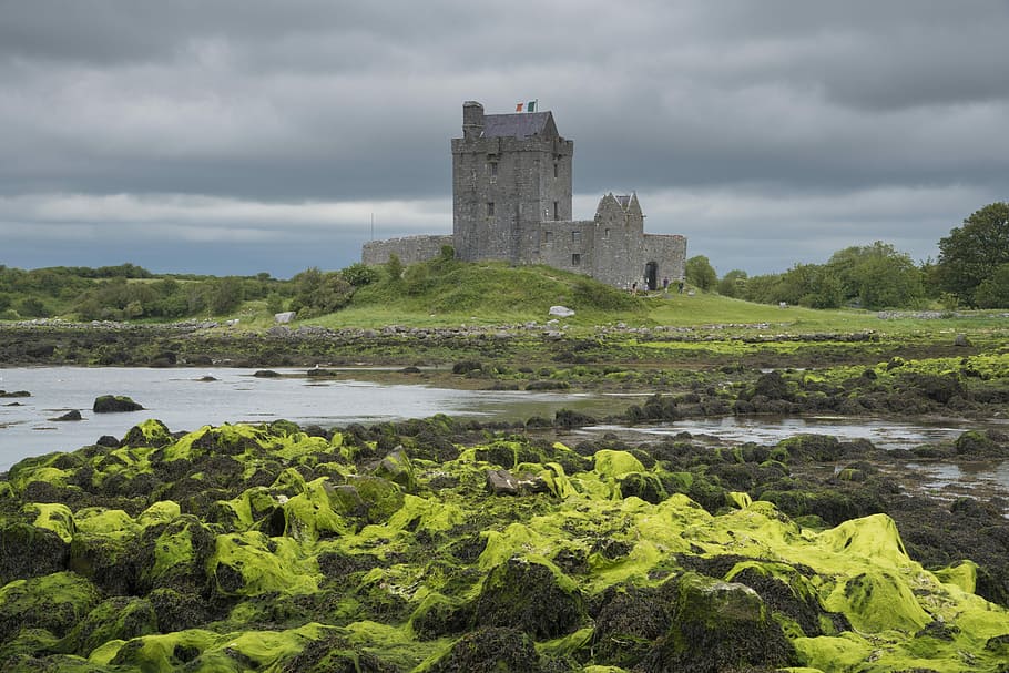 Dunguaire Castle, Co Galway, castle, dunguaire, tourism, landmark, 16th century, o'hynes clan, history, fortress