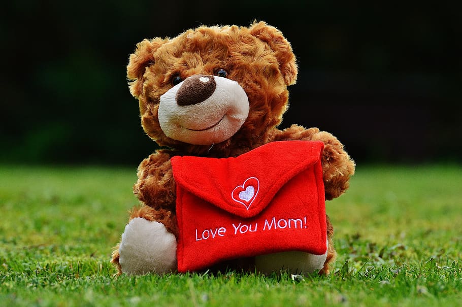 brown, bear, red, mail, plush, toy, teddy, mother's day, love, mama