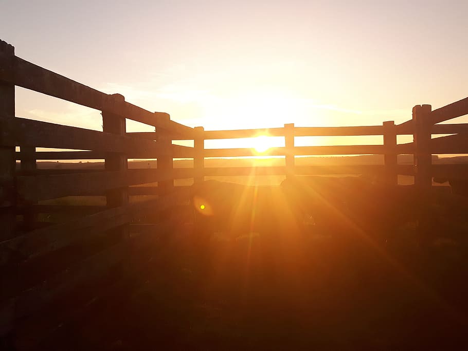 Sol, campo, granja, el mejor lugar, paisaje, eventide, luz solar, destello de lente, puesta de sol, aire libre