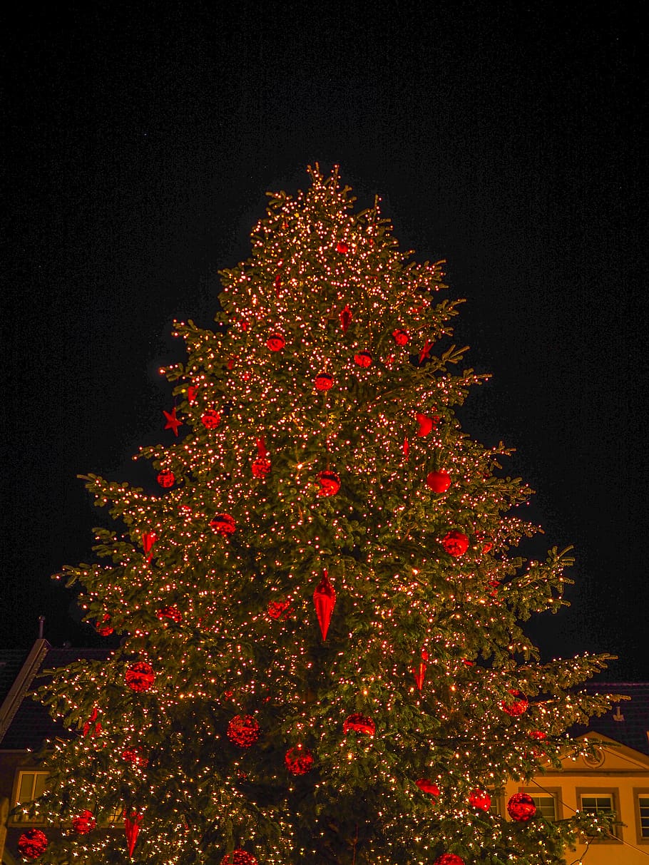 hari Natal, pohon cemara, pohon Natal, musim dingin, waktu Natal, dekorasi, Natal motif, kedatangan, Malam natal, dekorasi Natal