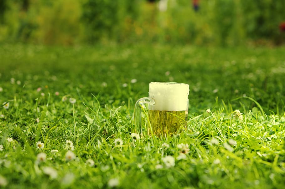 caneca de cerveja, prado, bebendo verde, flores, festival, oktoberfest, baviera, luz, verde, espuma