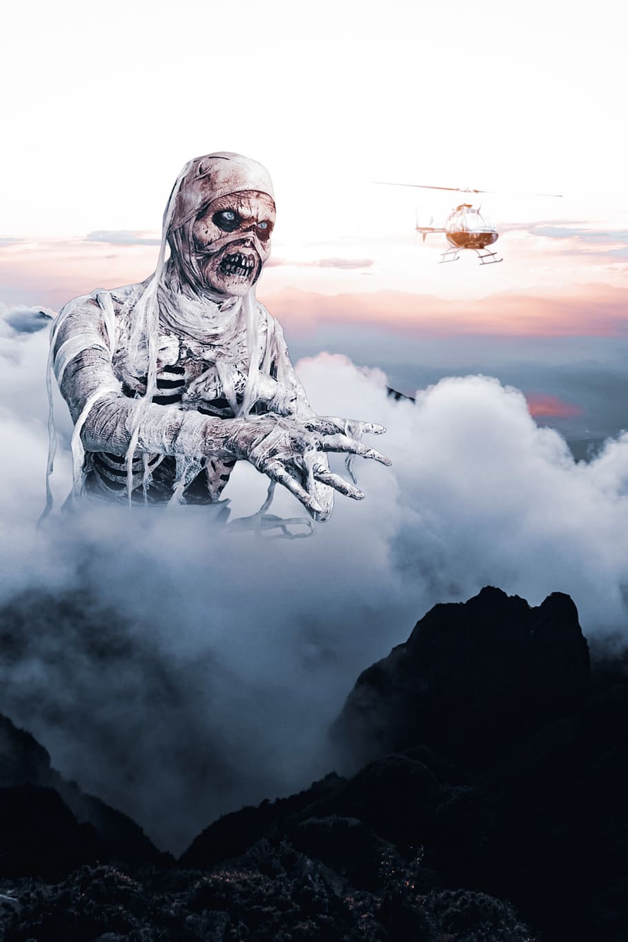 mummy, helicopter, surrealism, sky, clouds, photoshop, fantasy, one animal, animal themes, domestic
