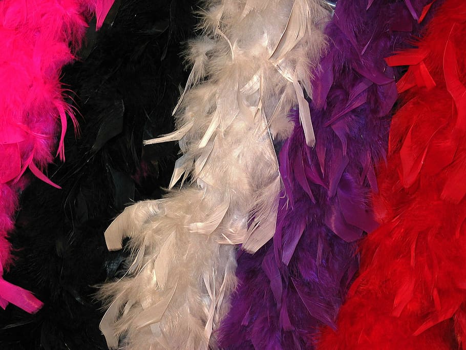 Stoles, Carnival, Feather, Shawl, carnival stoles, feather shawl, costume, panel, colorful, color