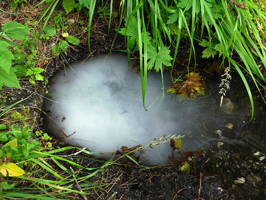 spring, summer, grass, water and gas, bubbles, plant, growth, land, nature, high angle view