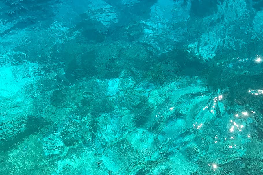 coral, arrecife, mar, arrecife de coral, bajo el mar, azul, fondos, resumen, naturaleza, agua