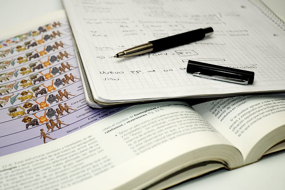 black, pen, notebook, student, biology, notes, think, study, faculty,  university | Pxfuel