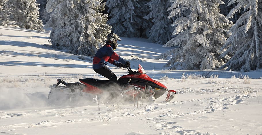 snow, winter, sport, action, snowmobile, mountains, beskids, trail, hall krupowa, horse
