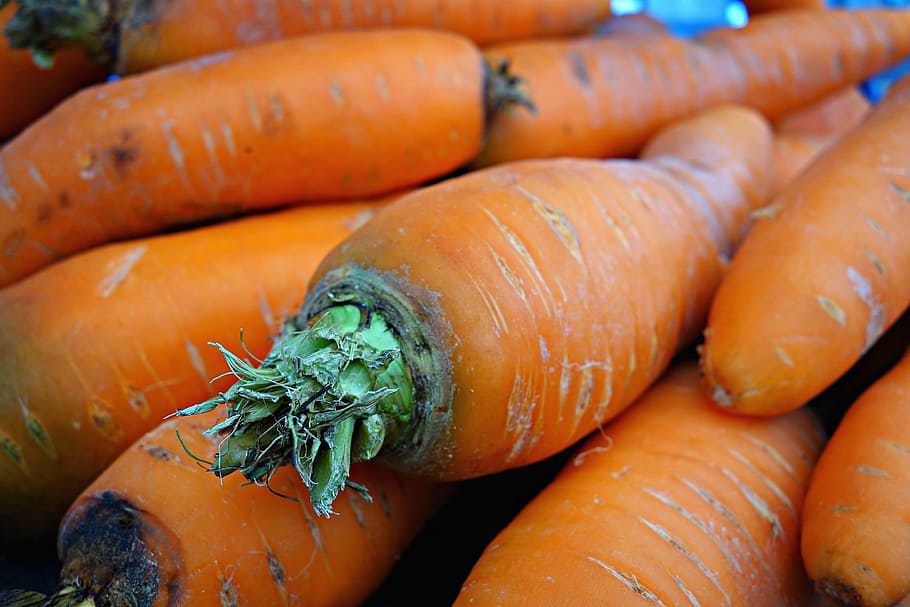 carrot, vegetable, daucus carota, root vegetable, fresh, food, nutrition, eating, meal, health