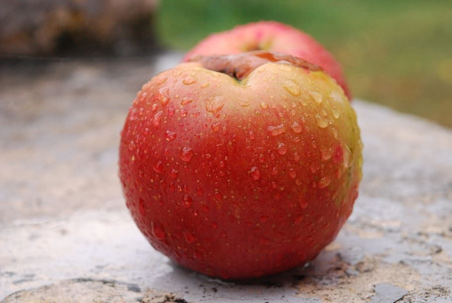 manzana, imagen, fruta, comida y bebida, comida, alimentación saludable, rojo, bienestar, manzana - fruta, frescura