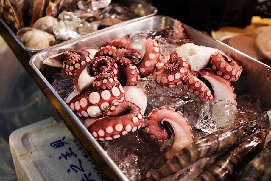 seafood, gurita, tentakel, es, makanan, segar, makanan dan minuman, kesegaran, makanan laut, dijual