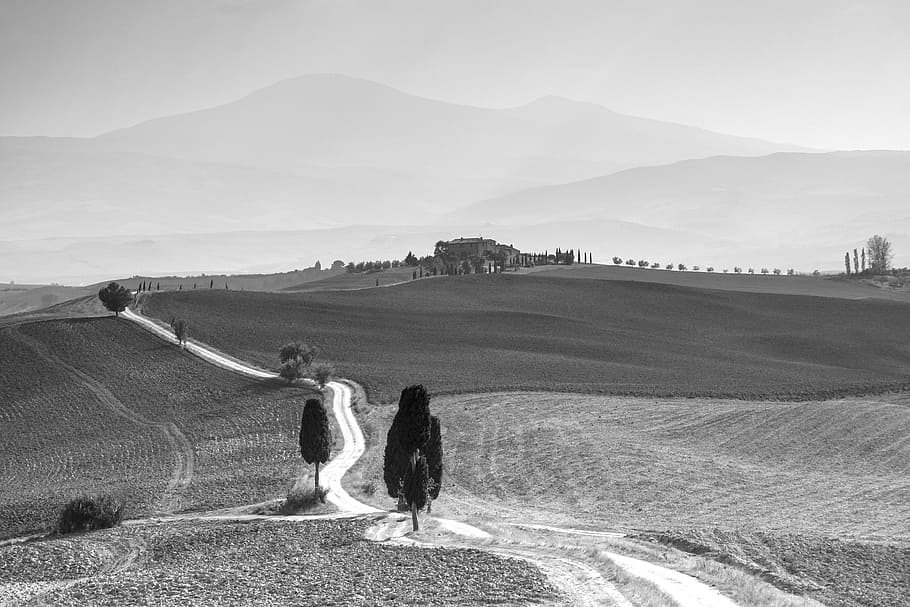 Tuscany, Italy, Landscape, Toscana, Sw, sw toscana, black And White, outdoors, nature, rural Scene
