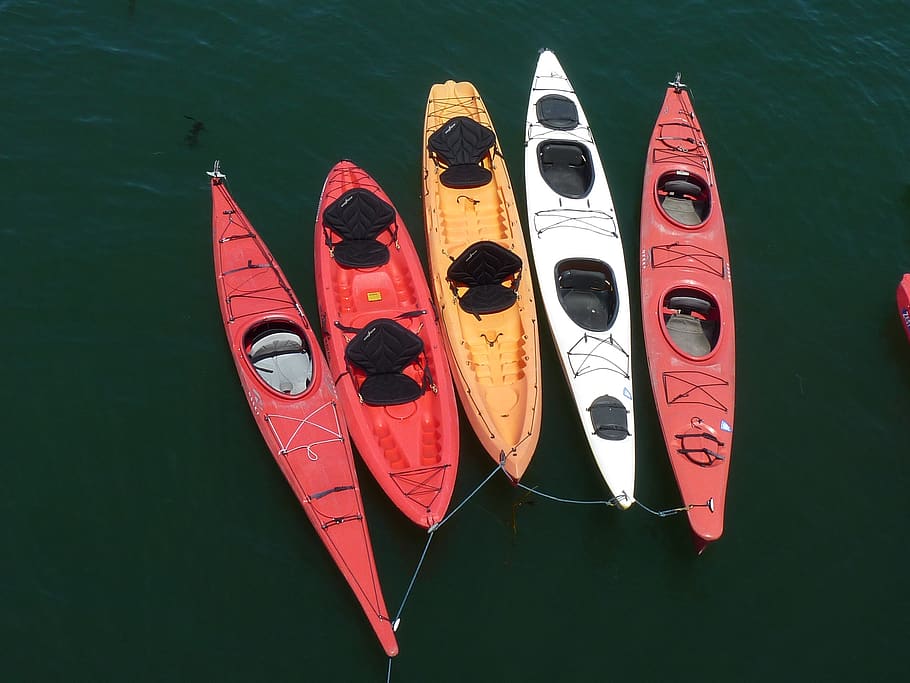 kayaks, playa santa cruz, canoa, rojo, vista de ángulo alto, embarcación náutica, agua, nadie, naturaleza muerta, transporte