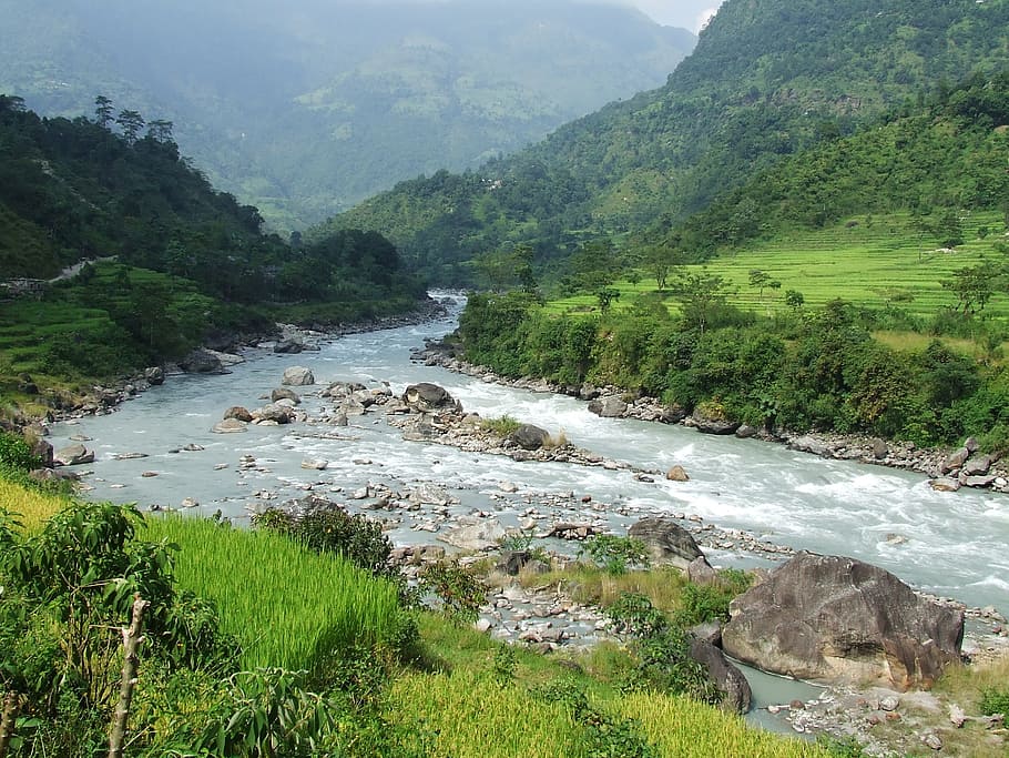 숲에 강, 네팔, 안나 푸르나, 트레킹, 숲, 산, 자연, 강, 데이터 스트림, 물