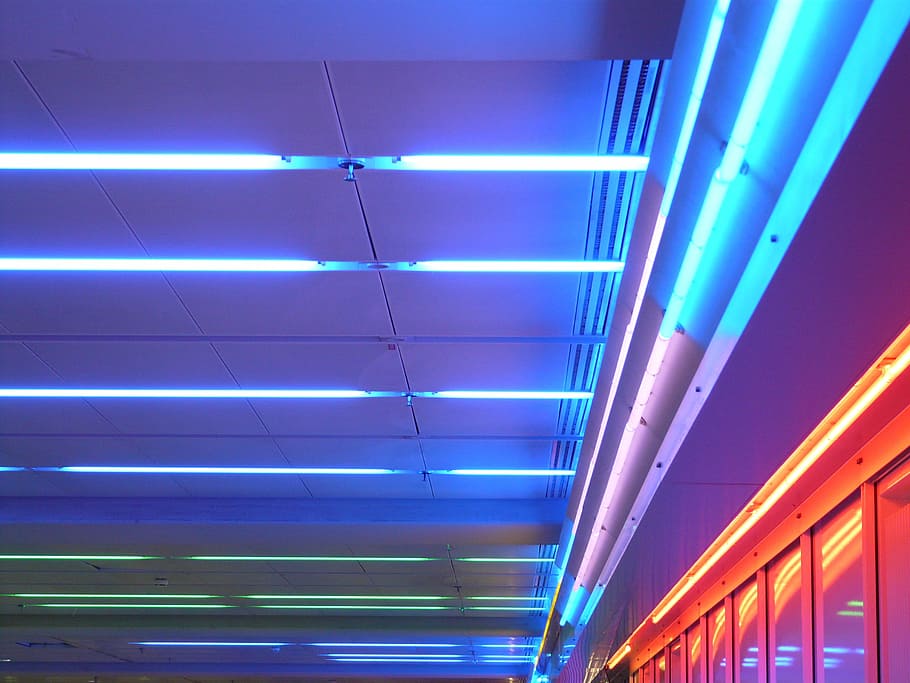 turned-on neon lights, ceiling lighting, neon light, neon lights, neon, lamps, light, lighting, neon red, neon blue