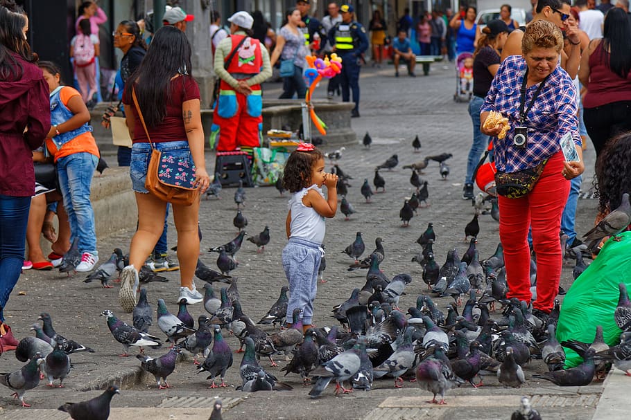 costa rica, san jose, child, pigeons, town, urban, scenery, city, bird, real people