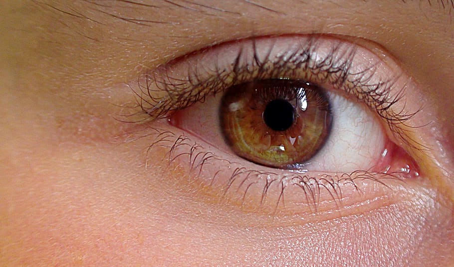 close, photograph, human, eye, the anatomy of a, construction of man, eyelids, eyelashes, żrenica, eye color