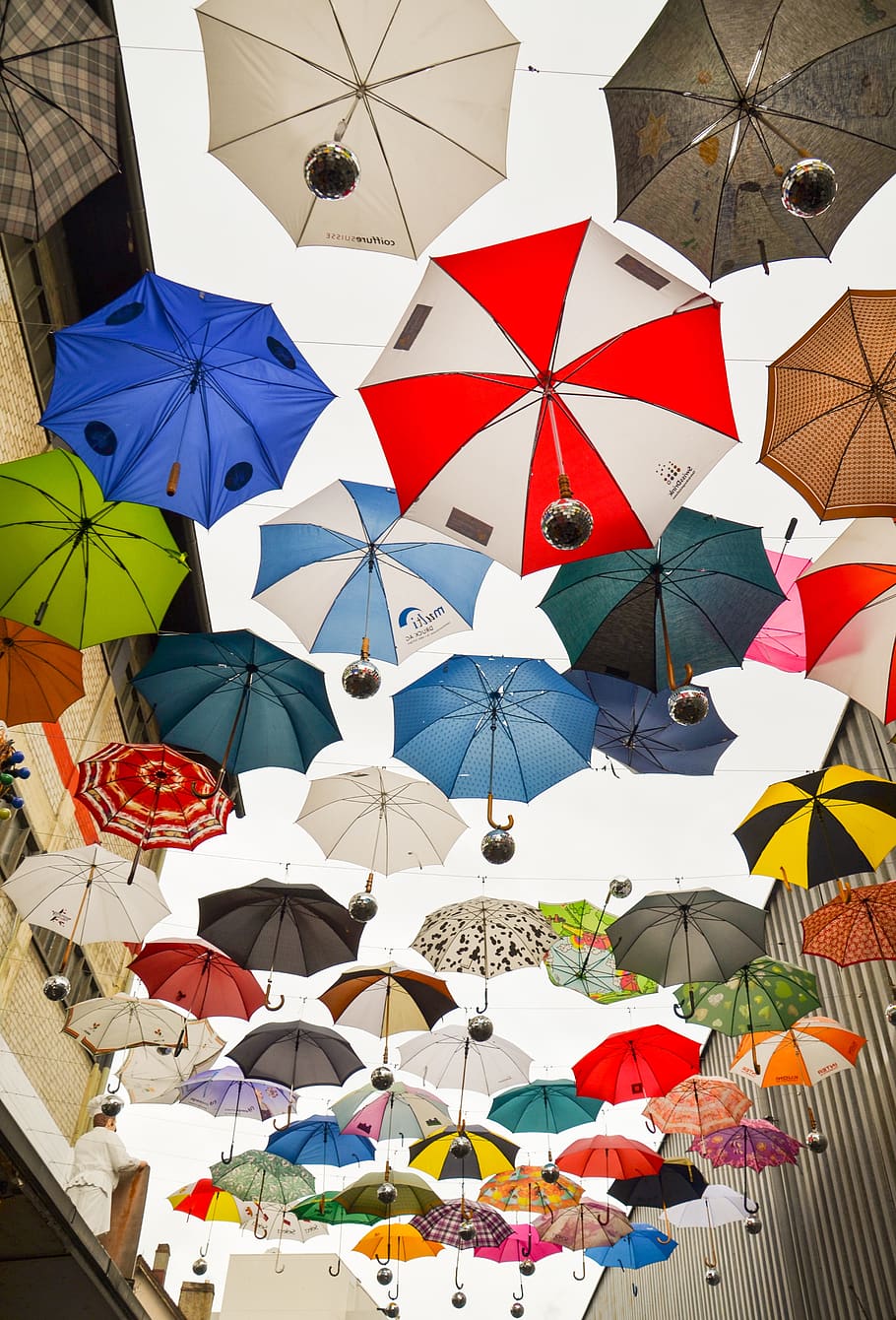 umbrella, protection, screens, rainy weather, awning, april weather, shelter, colorful, funny, art