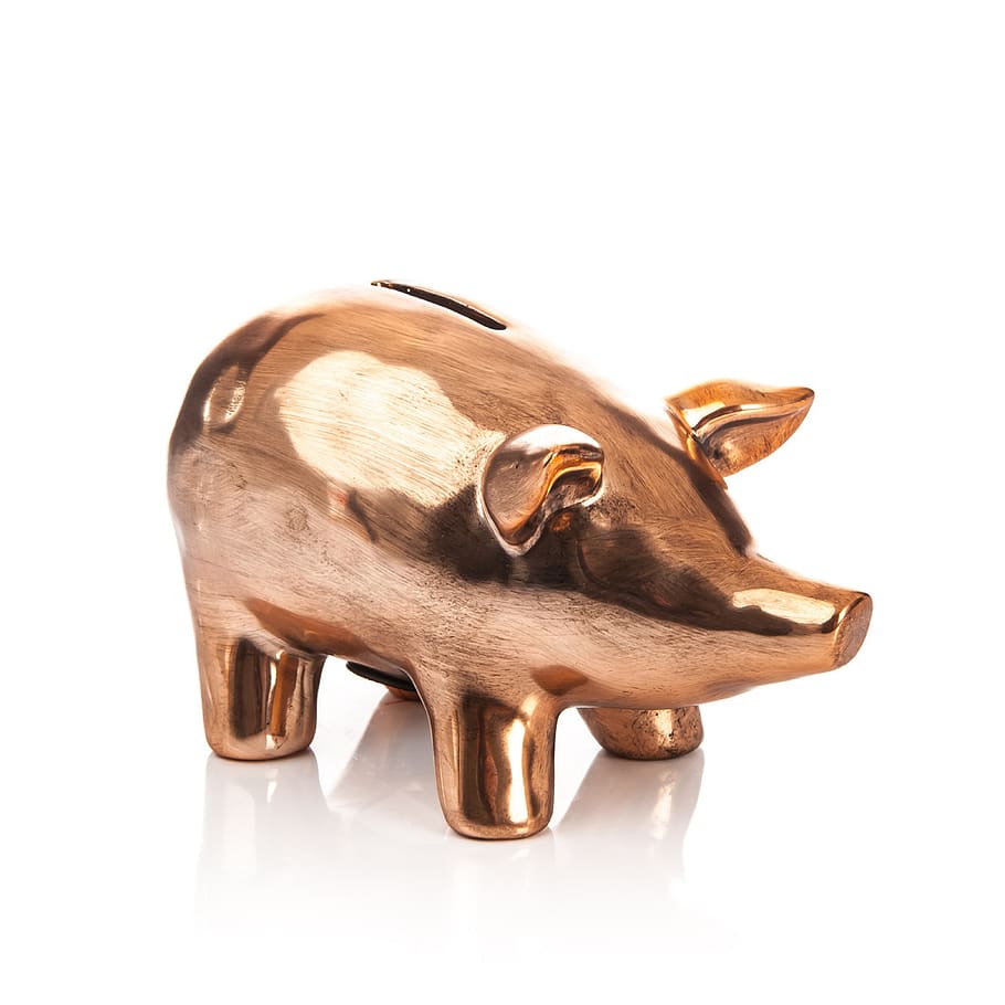 piggy bank, pig, bronze, white background, cut out, mammal, studio shot, single object, animal, animal themes
