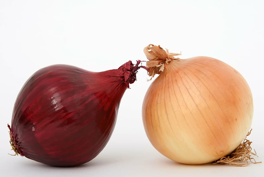 two, red, white, onion bulbs, background, bulb, closeup, close-up, clove, color
