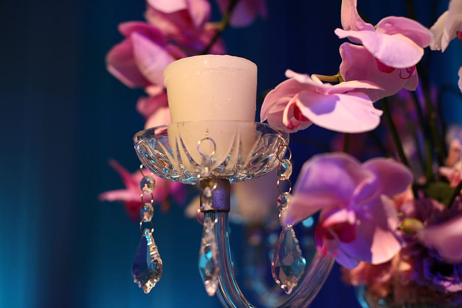 decoration, candle, garnish, close-up, flower, focus on foreground, flowering plant, pink color, nature, indoors