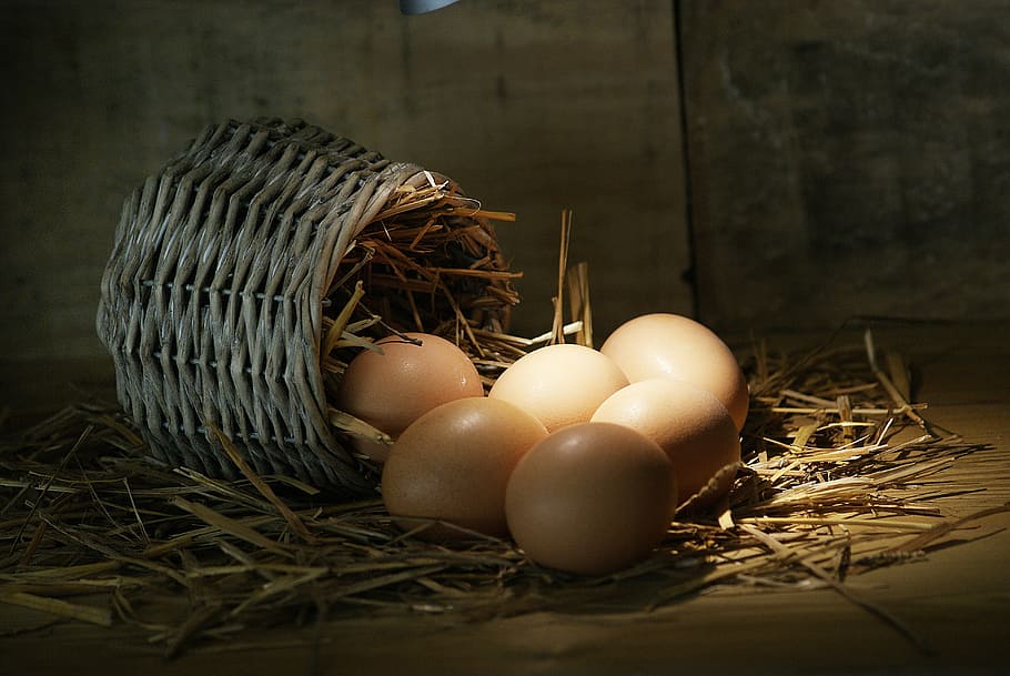 poultry eggs, basket, food, wood, nature, still life, farm, egg, animal nest, animal egg