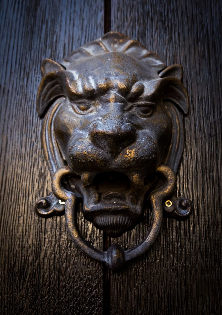 pintu, singa, pintu masuk, logam, cincin, kayu, pengetuk pintu, merapatkan, bahan kayu, tidak ada orang