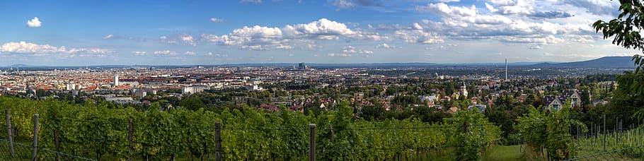 landscape view, island, vienna, panorama, vineyard, austria, city, good view, outlook, view