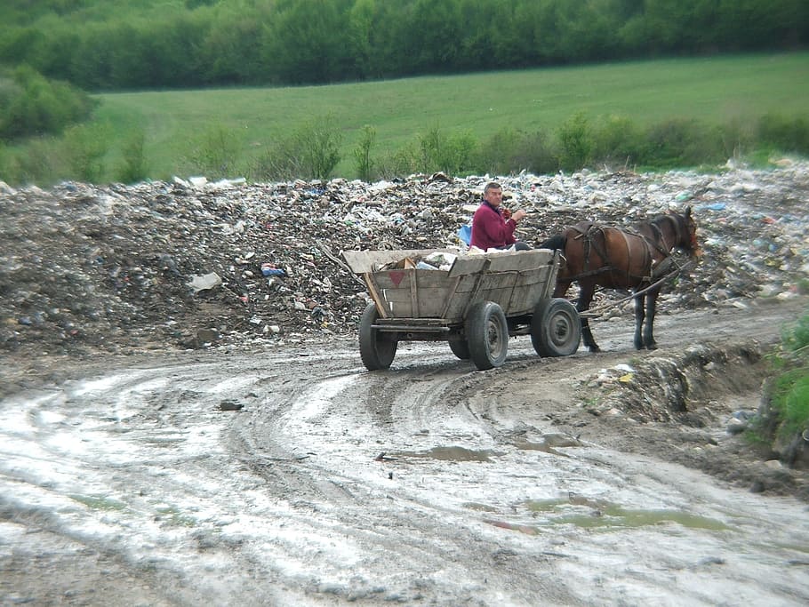 Romania, Gipsy, Horse, Garbage, pulling, wooden, rustic, pull, old, rural