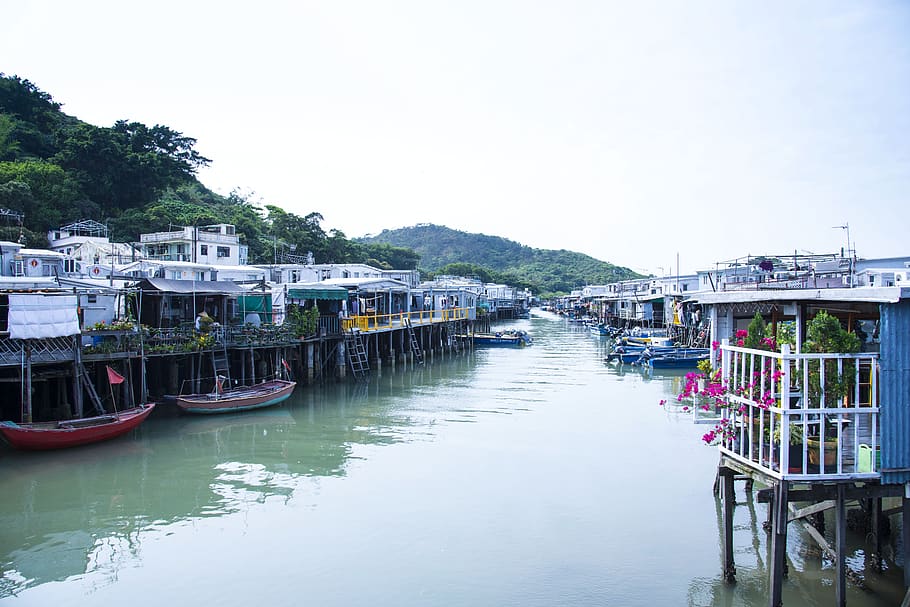 complejos turísticos, colorido, hermoso, tranquilo, el paisaje, río, barco, pueblo pesquero, tai o, hong kong