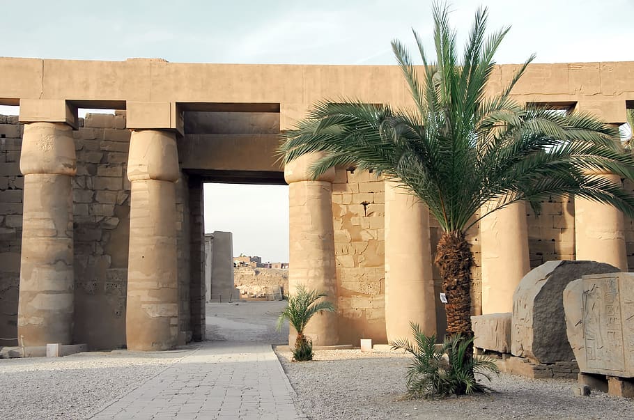 egypt, karnak, temple, colonnade, columns, palm, architecture, religion, architectural column, built structure