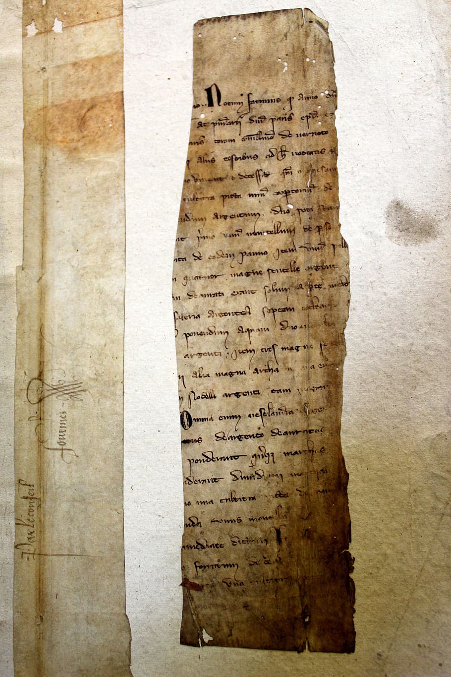 Medieval, antiguo, tarjeta, página, escritura, pergamino, vintage, texto, papel, carta