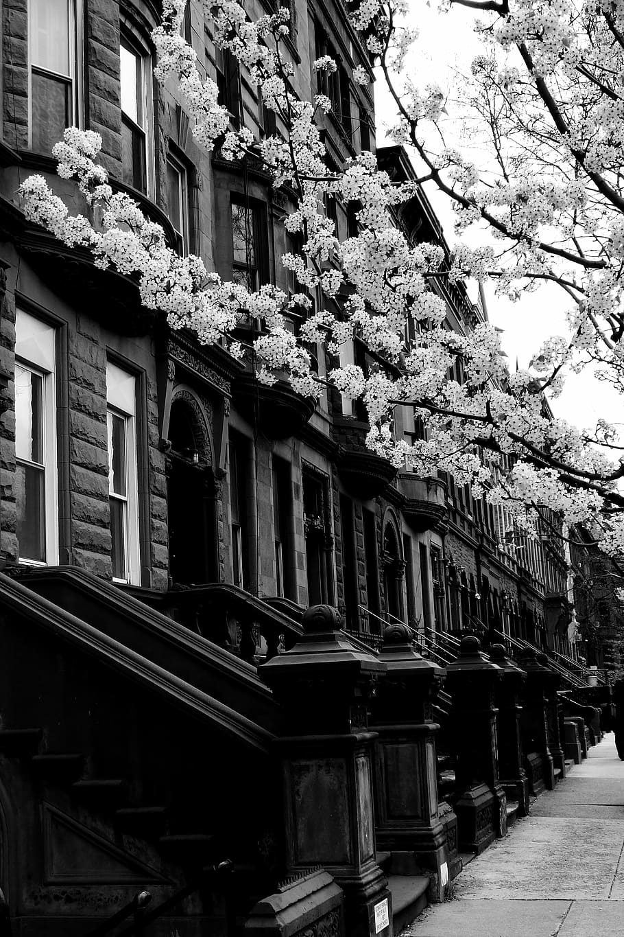 harlem, street, black and white, city, building, architecture, united states, new york, spring, perspective