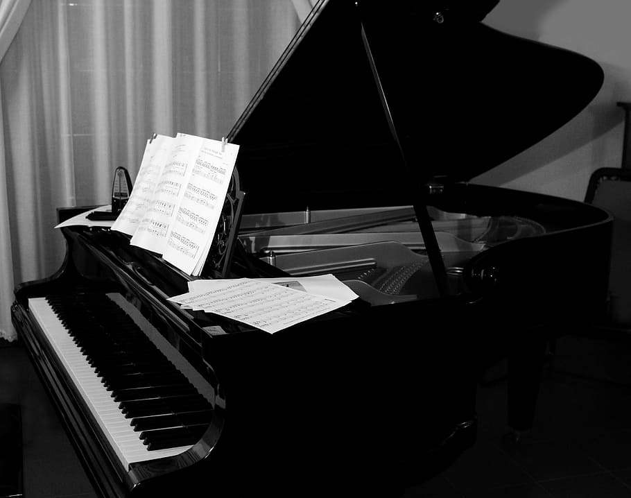 grayscale photography, grand, piano, grand piano, plan, keyboard, strings, hammers, dampers, soundboard