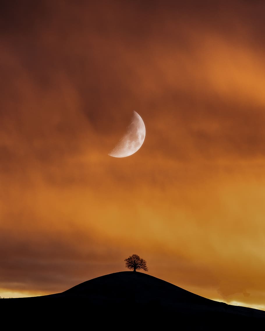 moon, lonely, tree, landscape, sky, mood, loneliness, mystical, clouds, gloomy
