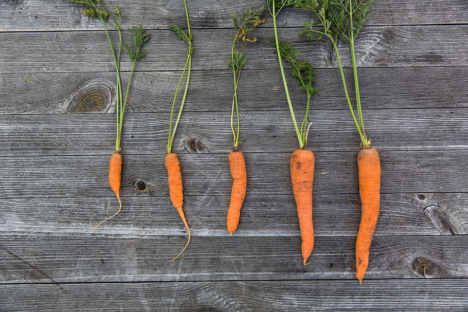 orange, carrots, vegetables, healthy, food, wood - material, vegetable, healthy eating, carrot, food and drink
