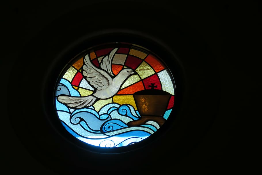 italy, church, stained glass, window, peace dove, peace symbol, multi colored, indoors, glass, shape