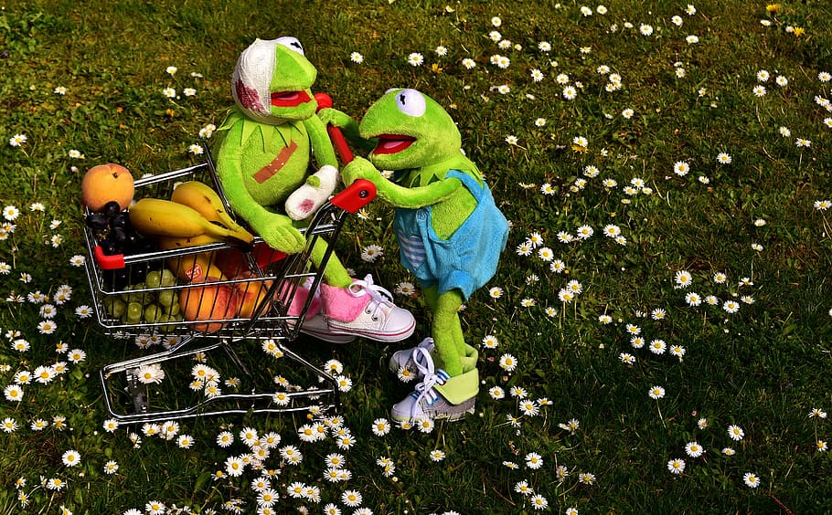 shopping, fruit, healthy, kermit, frog, shopping cart, vitamins, fruits, food, farmers local market