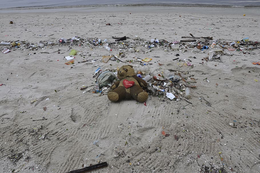 gris, oso de peluche, arena, contaminación, playa, basura, basurero, vertedero, reciclaje, tierra