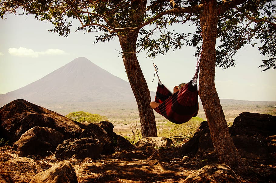 person, using, red, black, hammock, lying, tied, two, trees, daytime
