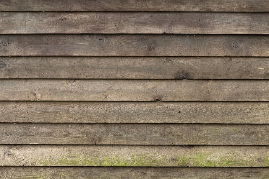 closeup, wood planks, boards, facade, wooden wall, panel, wood, profile wood, battens, wall boards